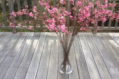 IMG_5617-e1487455373995